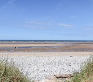 Beach Cottage 