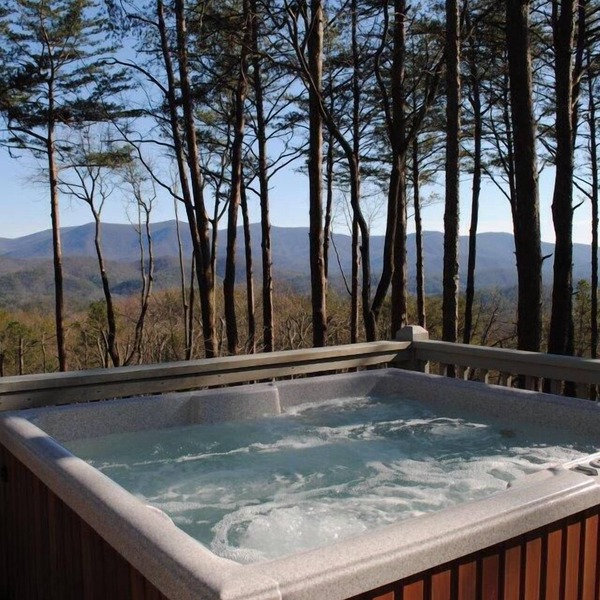 5-Star Cabin-Best Views in GA-Hot Tub-Pups Welcome-15 Min Blue Ridge-Clean in Cherry Log