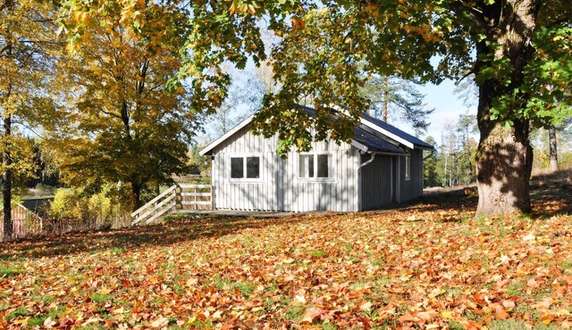 1 bedroom pet friendly home in Säffle in Säffle