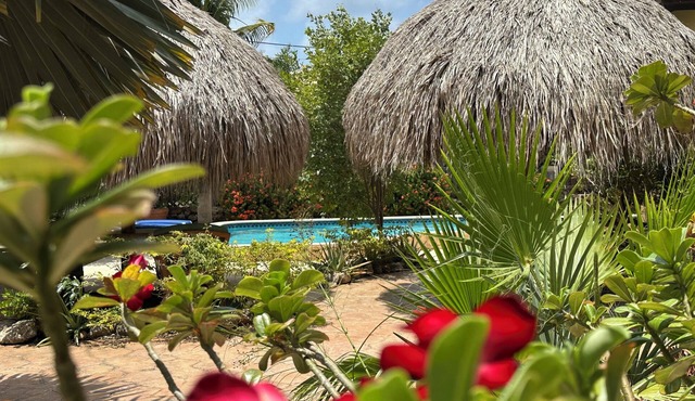 4 Bed Luxury Villa , Private Pool, Short Walk To Ritz And Marriott Beach ! in Noord