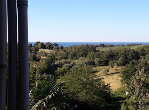 Ama(A’ in Fano