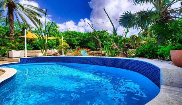 Aruba - Paraguana Paradise, Where Memories are Made in Noord