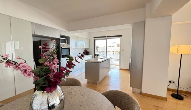 Balcony Views - Specious 2 BR Flat in Nicosia