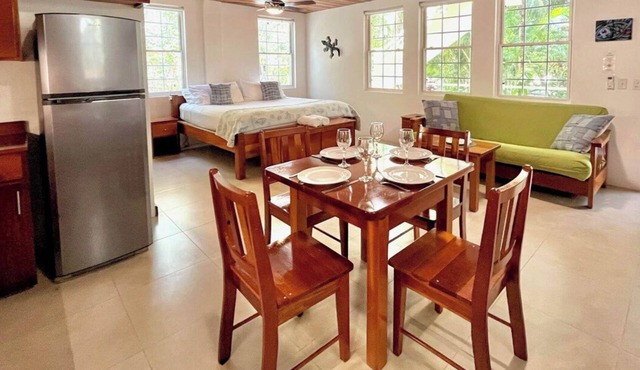 Beach King Suite Pool AC Dock Free Paddleboards in Caye Caulker