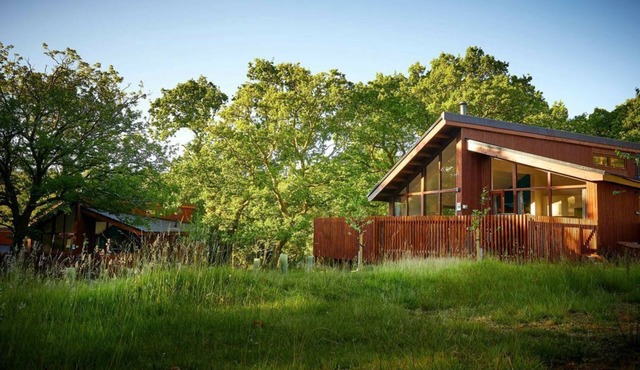 Beddgelert Silver Birch Cabin, Beddgelert in Beddgelert