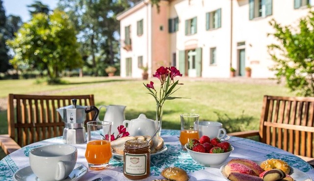 Charming apartment "Anna" in historical Villa Calanco on the hills of Dozza in Dozza