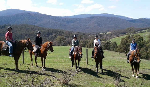 Chum Creek Hut - Luxury Country Cottage on beautiful horse property. in Chum Creek