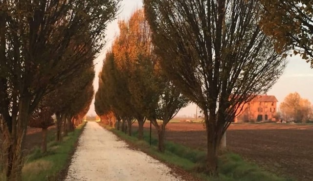 Country house Il Giuggiolo, relaxation in the Motor Valley in Emilia-Romagna