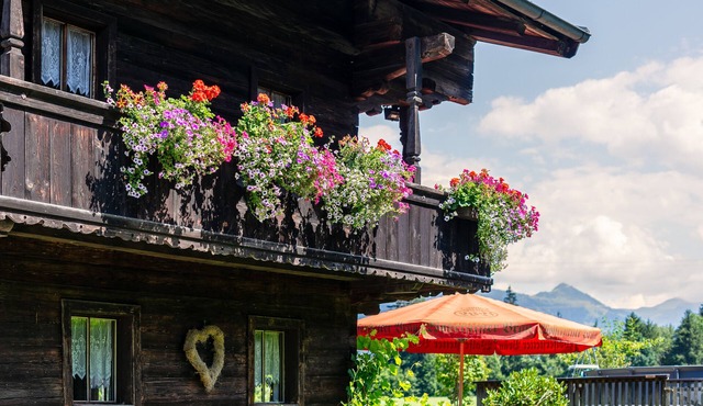 Farmhouse for large groups in a secluded location in Wörgl