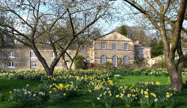 Harewood Estate Cottages in Harewood