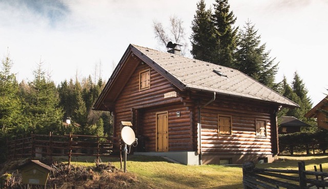 Holiday Home 'Stoakoglhütte' with Private Terrace and Garden in Bad St. Leonhard