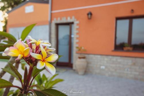 La Pomelia B&b Sofia in Trappitello
