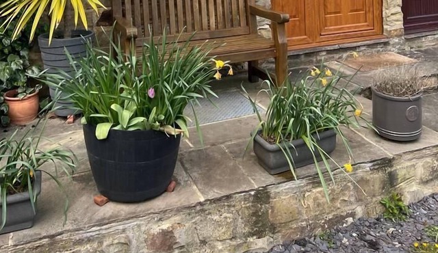 Lavender Cottage Grewelthorpe Nr Masham Ripon in Ripon