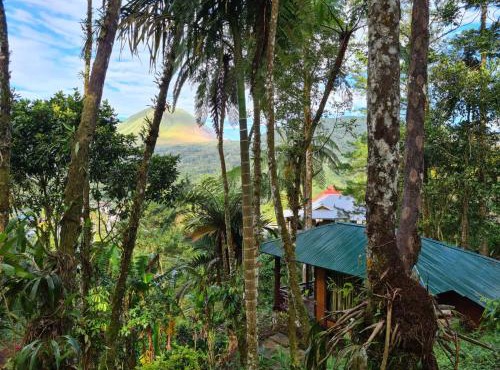 Rimba eco Resort in Tomohon