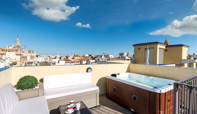 Rooftop terrace & private jacuzzi in Sevilla