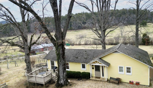 Stonewall Creek Vineyards- Ruthie's Yellow House in Tiger