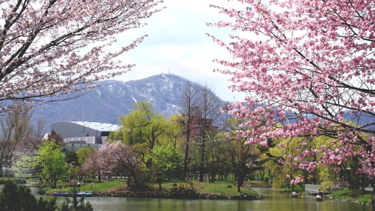 Photo of Others in Nakajimakoen