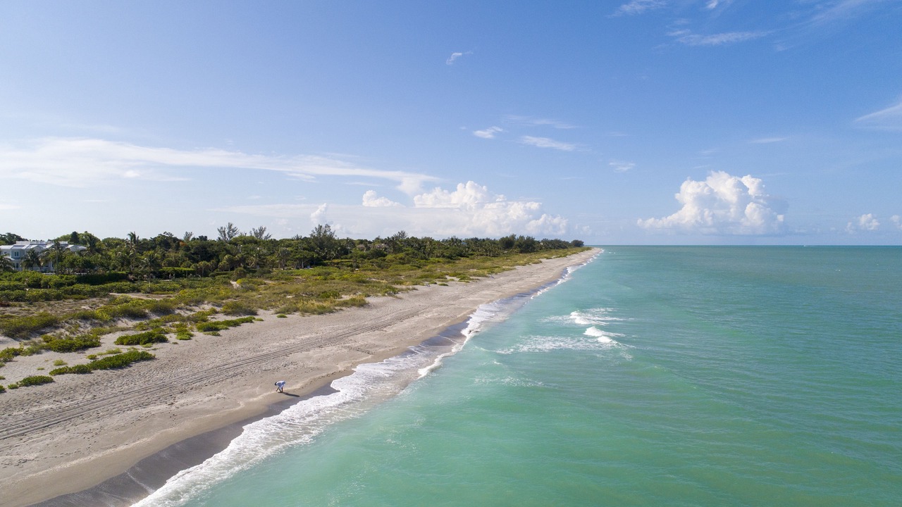 Photo of Others in Captiva