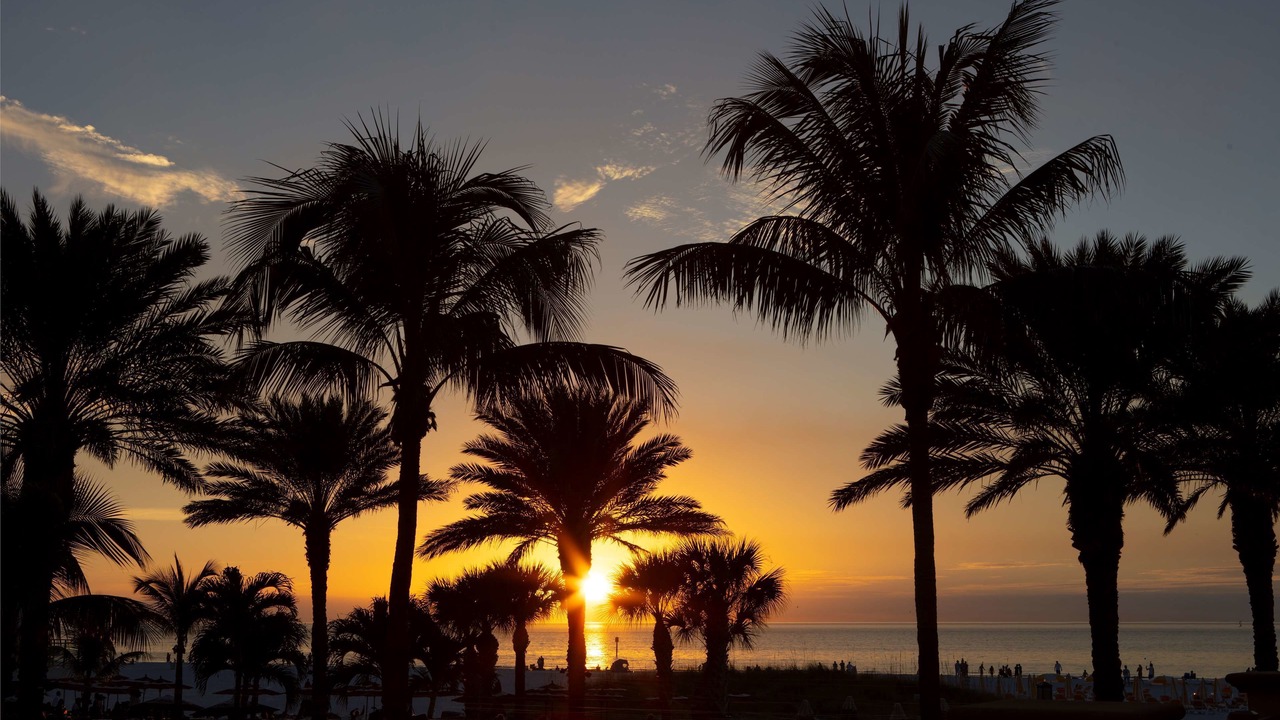 Photo of Outdoor in Clearwater Beach