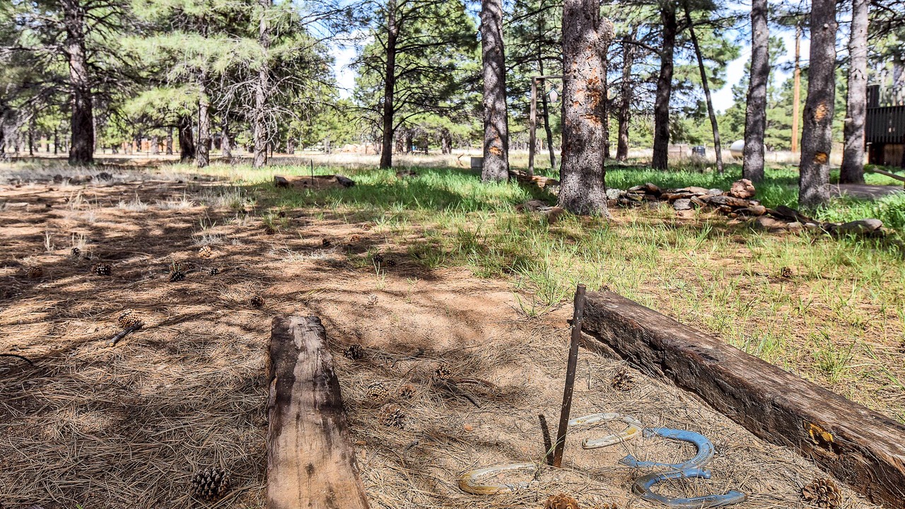 Photo of Outdoor in Flagstaff
