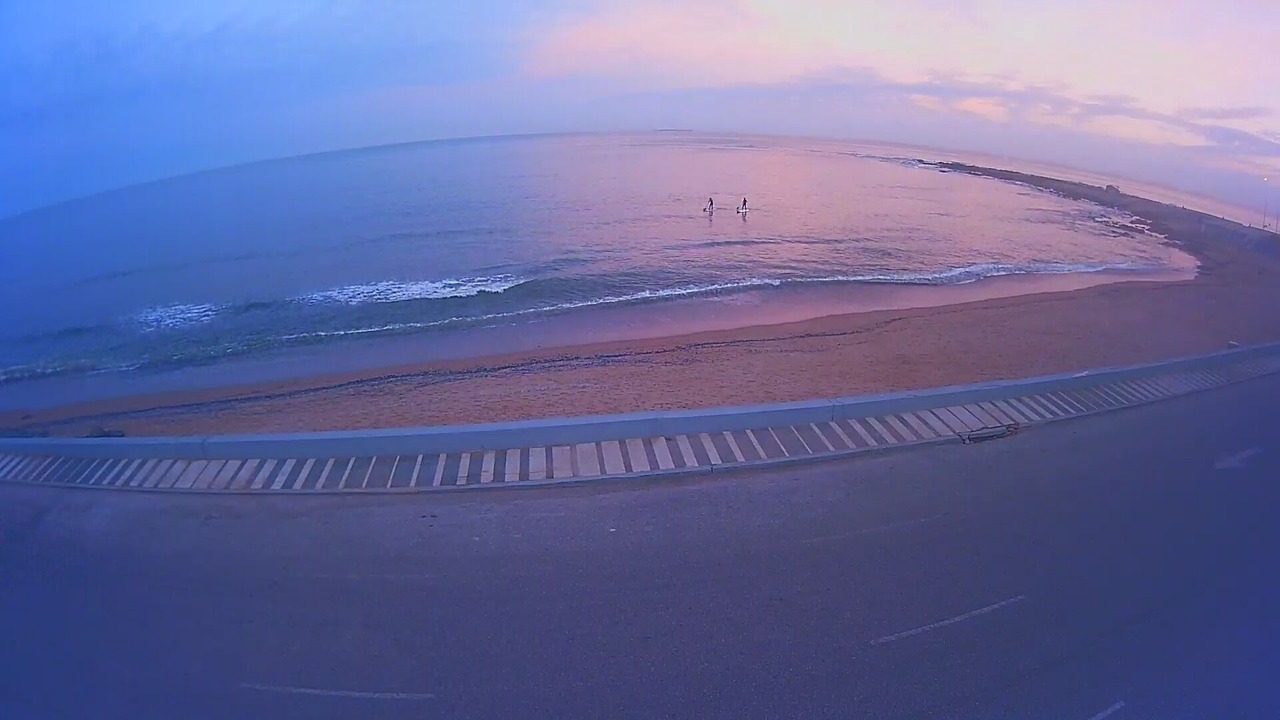 Photo of Others in Peninsula
