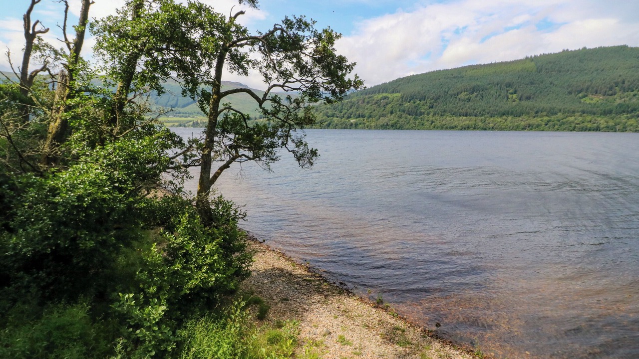 Photo of Others in Loch Tay