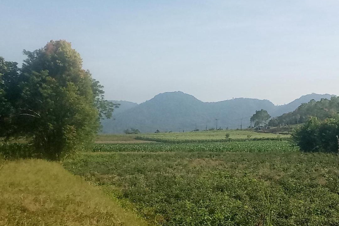 Photo of Others in Tomohon