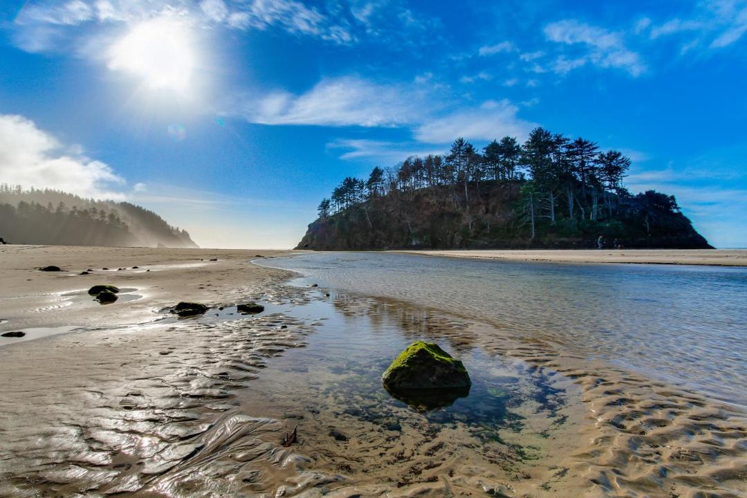 Photo of Others in Neskowin