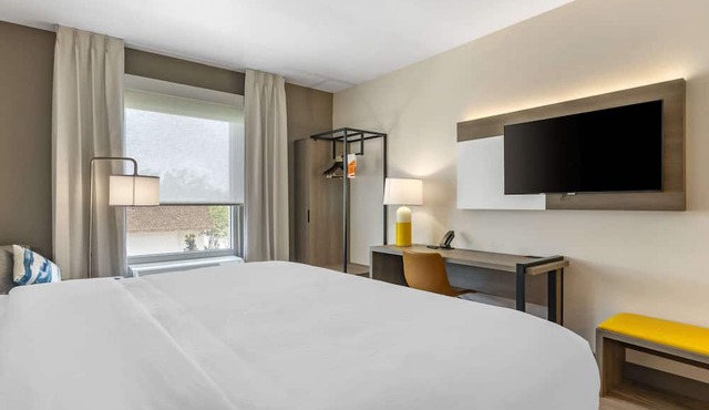Comfort Inn & Suites New Port Richey Downtown District in New Port Richey